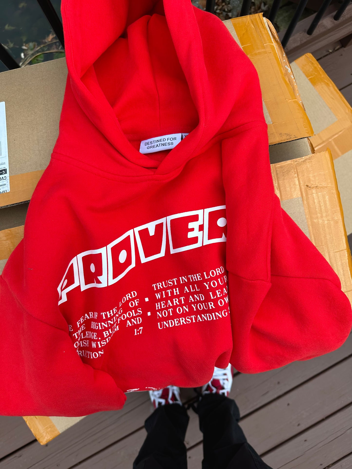 “PROVERBS” HOODIE ( PRE-MADE )